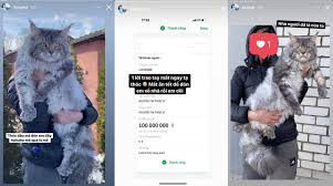 Linh ngọc đàm vs lê thị khánh huyền tiktok vn. Linh Ngá»c Ä'am Chi Lá»›n 100 Triá»‡u Ä'á»ƒ Ä'on Nang Meo Vá» Dinh One Esports