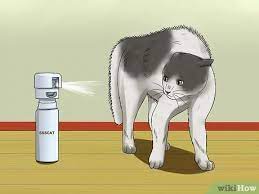 See full list on wikihow.com 3 Ways To Prevent Cats From Jumping On Counters Wikihow