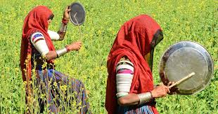 1 match the words in a to the words in в and use them to complete the sentences. The Chemicals Used To Kill Locusts Also Harm Humans And The Environment