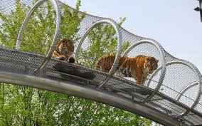12 Museums And Zoos Where You Can Spend The Night Philadelphia Zoo Zoo Architecture Zoo Animals