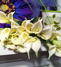 Send large, premium flowers today. Magnolia Wholesale Florist Home Facebook