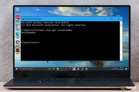 Right click on the command prompt, and then c. How To Find Computer Serial Number On Windows 10
