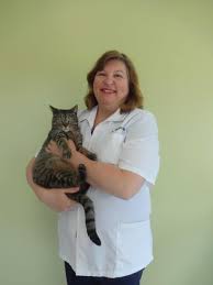 When you think about why you love your pet, you might recall all the incredible memories that you have shared together. Veterinarians Team In North Mankato