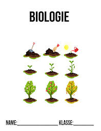 Deckblatt Biologie Pflanzen Schulbeginn Ersterschultag Einschulung Vorlage Ausdrucken Schule Deck In 2020 Deckblatt Bio Deckblatt Deckblatt Schule