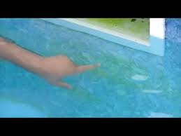 How can i remove phosphates from my pool without using phosfree? Life Hack Easily Clean Green Pool Walls Youtube