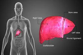 Natural Home Remedies And Diet For Primary Biliary Cirrhosis