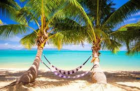 The african paradise beach house surrounded by magical nature&beach and white sand ocean with marvelous view. Free Beautiful Tropical Places For Vacation Wallpaper Apk Download Beach Wallpaper Beach Hammock Beach Paradise