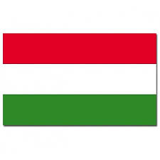 De vlag van hongarije is hier online te bestellen. Alle Info Over De Vlag Van Hongarije Boedapest En Het Land Vlaghongarije Nl