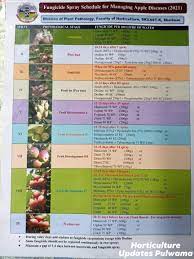 After 2/3 of the flower petals have fallen. Kashmir Kissan Agriculture Co Operative Marketing Ltd Apple Spray Schedule 2021 Kashmir Facebook