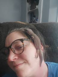 The perfect perch I feel so chosen