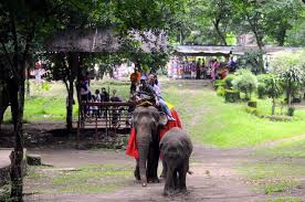 Kebun binatang bandung pilihan tempat wisata yang menghibur sekaligus mendidik. Kebun Binatang Solo Tidak Menerima Pengunjung Dampak Klb Korona Okezone News