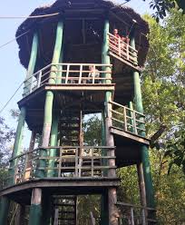 Pin By Moriom Sarker On Sundarban Bangladesh House Styles House Mangrove Forest