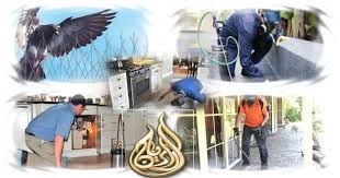 شركة مكافحة حشرات بالاحساء دون رائحة 215 2882 053 شركة الريان Coffee Blogging Easy Food To Make Food Culture