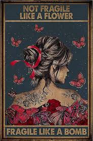 Not Fragile Like A Flower Fragle Like A Bomb Poster In 2020 Poster Sarcastic Quotes Funny Illustration