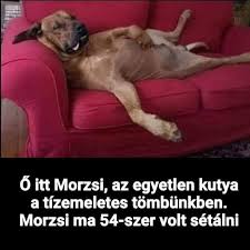 Ha ehhez a témához kapcsolodó kérdésed van, kattints az új kérdés gombra. Meg Tobb Covid Poen Hazmestermedve