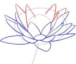 How To Draw A Water Lily Step 5 Flower Drawing Tutorials Lilies Drawing Flower Drawing