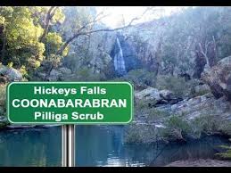 Yowie Sighting Audio Report 159 At Hickeys Falls Near Coonabarabran Nsw Youtube Ancient Aliens Bigfoot Sightings New South Wales