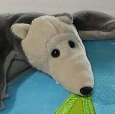 哇潮 臭到快窒息 新水壺好難聞去塑膠味其實很簡單 生活 三立新聞網setn com teddy teddy bear animals