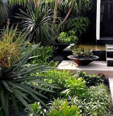 Canary Islands Spa Garden Tropical Garden Design Tropical Garden Garden Architecture