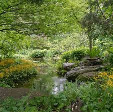 Natural Wetland Garden Water Features In The Garden Natural Pond Bog Garden