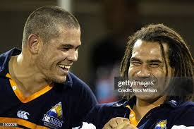 94 Cats Super12 Photos & High Res Pictures