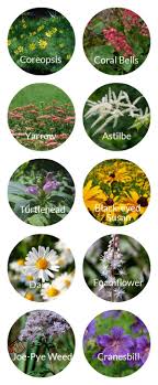 Simple, easy and fun clay pot craft project ideas. 20 Perennials With Long Lasting Blooms Empress Of Dirt
