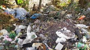 Polluted Nature 1 2 Stock Footage Nature Polluted Footage Stock Blank Business Cards Nature Stock Footage