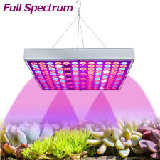 Check spelling or type a new query. 25w Led Pflanzenlampe Led Grow Lampe Full Kaufland De