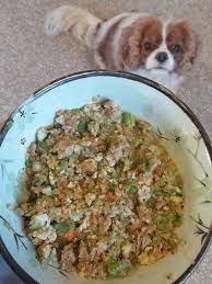 Grain Free Homemade Dog Food Recipe Dog Food Recipes Diabetic Dog Food Dog Recipes