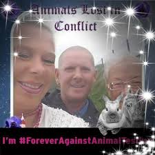 After 6 months or more of owning a MG HS, are you happy with the decision  of buying it ?