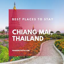 Being a digital nomad allows the total freedom pack your belongings get in a plane and work wherever chiang mai buddy was created and set up due to the increasing number of digital nomads who began discovering what expats knew years ago. Best Places To Stay In Chiang Mai Thailand Wandertooth Travel