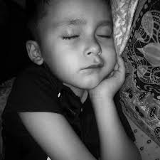 Fernando Lobos Schade (@lobosschade) • Instagram photos and videos