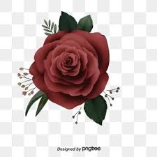 Burgundy flowers png collections download alot of images for burgundy flowers download free with high quality for designers. K9assr9w K3nqm