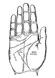 Palmistry Chart 1885 1