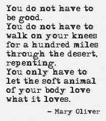 Get More From Pinterest Mary Oliver Quotes Cool Words Inspirational Words