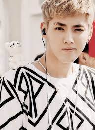 Strategic balance in northeast asia. Kris What Eyebrows Why Is There A Cat On His Shoulder Kris Exo Wu Yi Fan Kris Wu