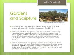 Read more why use mulch for the vegetable garden. Why Garden How To Have A Successful Garden Ppt Download