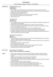 Hr Executive Resume Samples Velvet Jobs