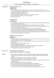 Have a look at this resume for human resources and see how an on point and correctly written resume for. Hr Executive Resume Samples Velvet Jobs