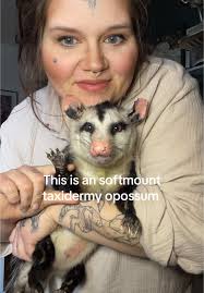 Unique Opossum Head Ring Box with Galaxy Eyes