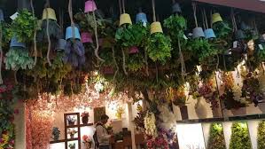 Find decorative flowers and plants in wholesale at tlp artificial flower in delhi.we import and supply the best quality decorative flowers and plants at wholesale pricing.for bulk inquiry all across india contact tlpflower.com. Hyperboles Artificial Plants Artificial Flowers And Other Home Decor Needs Supplier Artificial Plant Supplier In Delhi