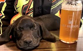 Whether you are looking to buy a puppy or need help with your fish tank, the staff are there to help you find what you need. Greater Grand Forks A Pet Friendly City The Best For Dog Lovers