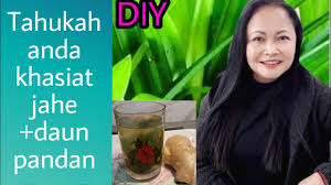 Masukkan halia dan biarkan mendidih lagi. Adalah Halia Yang Selamat Dengan Gerd 2021 The Healthy Post