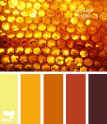 Pin By Kimme Trask On Color Combo Seeds Color Design Seeds Color Pallets
