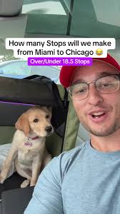 27 hours later 😂 … #roadtrip #chicago #miami #america #travel #tesla  #traveltiktok #roadtrippin #handshakebets #puppy