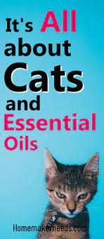 It S All About Cats And Essential Oils In 2020 Essential Oils Essential Oils Dogs Friendly Dog Breeds