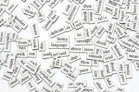 Hasil gambar untuk vocabulary
