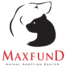 Researching adoption in denver or denver county, colorado can be difficult. Maxfund Animal Adoption Center Denver S No Kill Animal Shelter Denver Animal Rescue