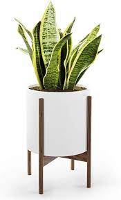 Check spelling or type a new query. Amazon Com Mid Century Planter With Stand American Walnut Matte White Ceramic Planter W Drai White Ceramic Planter Mid Century Plant Stand Large Plant Pots