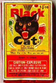 Discounts are available for these products are available for bulk discounts and you can place oem orders when buying in bulks. Black Cat Fireworks Painting By Gregory Dyer